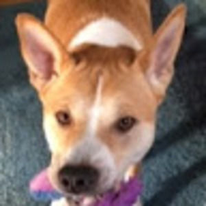 Meet your Posher, Sophia